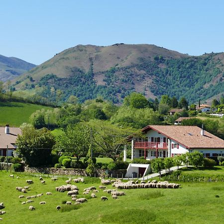 Baskoparadis I Eco-Gites I Calme I Vue I Anes I Jardin I Montagne I Nature Louhossoa Esterno foto