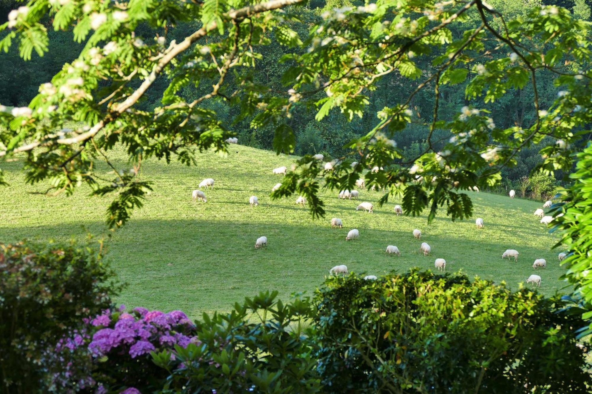 Baskoparadis I Eco-Gites I Calme I Vue I Anes I Jardin I Montagne I Nature Louhossoa Esterno foto