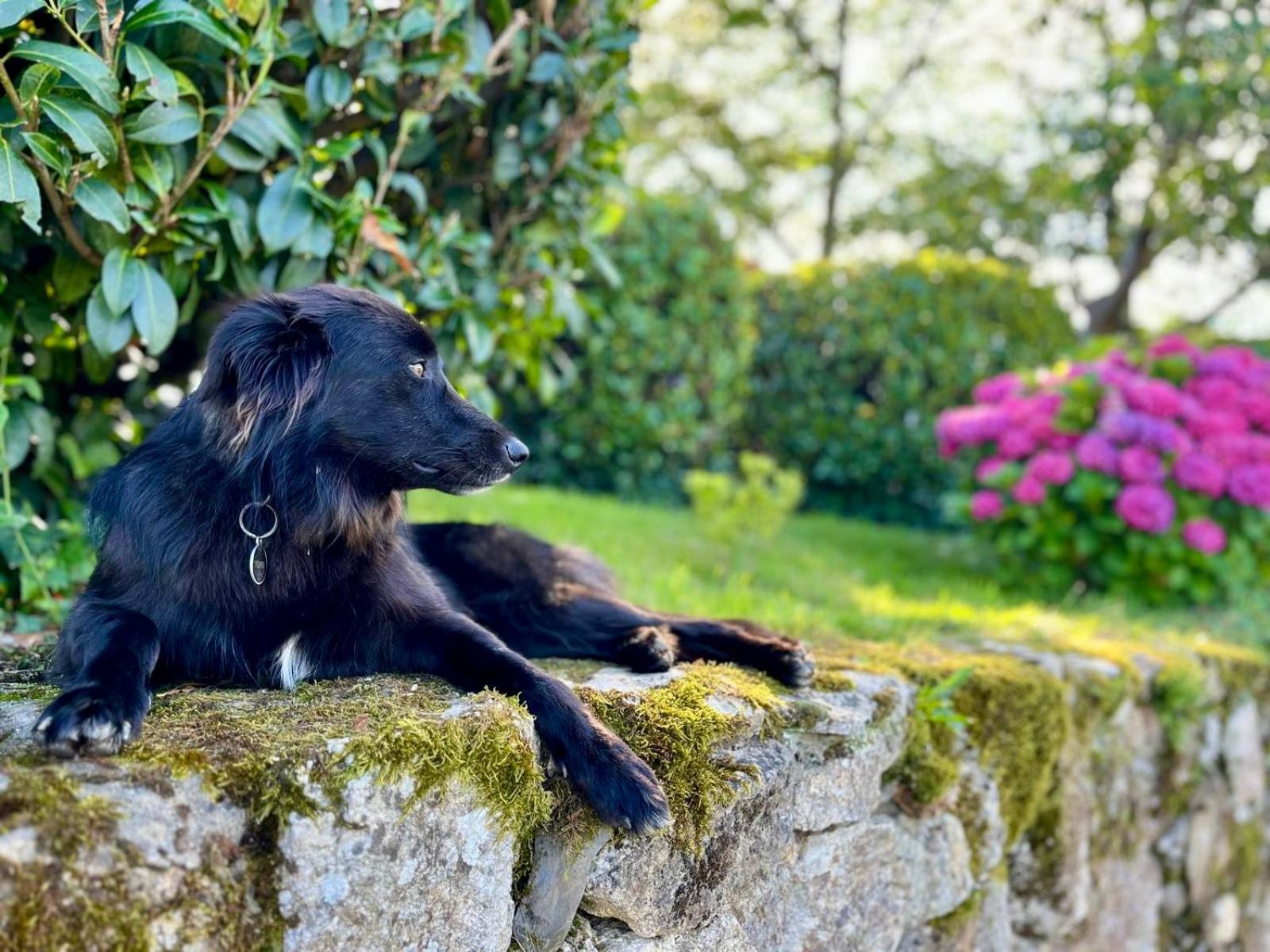 Baskoparadis I Eco-Gites I Calme I Vue I Anes I Jardin I Montagne I Nature Louhossoa Esterno foto