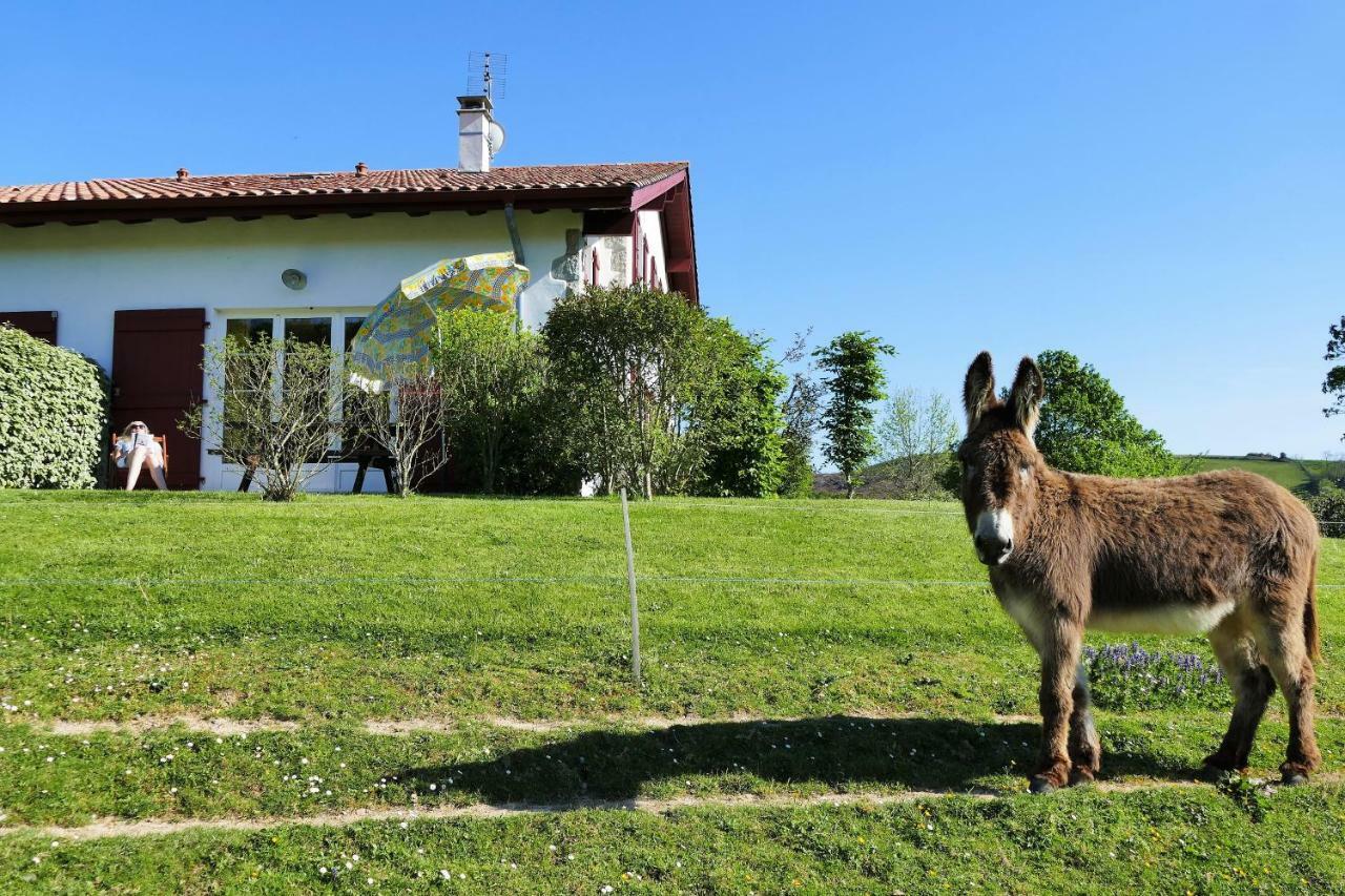 Baskoparadis I Eco-Gites I Calme I Vue I Anes I Jardin I Montagne I Nature Louhossoa Esterno foto
